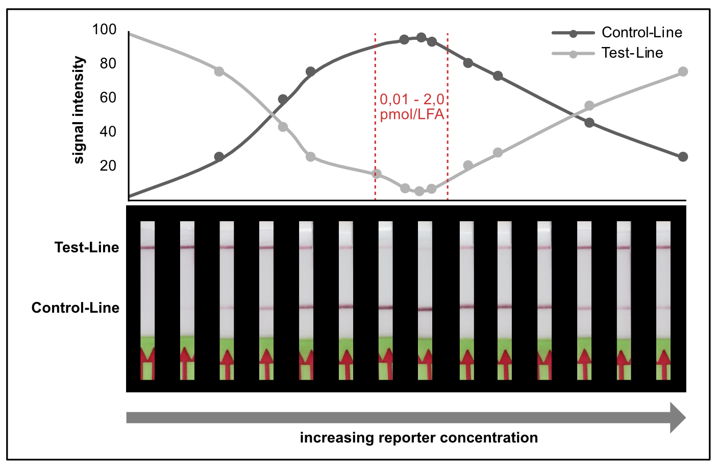 Idealized C-and T-line intensity