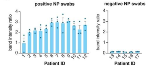 Validation of STOPCovid.