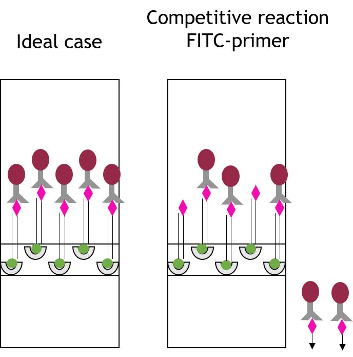 Loss of sensitivity due to competetive reaction.