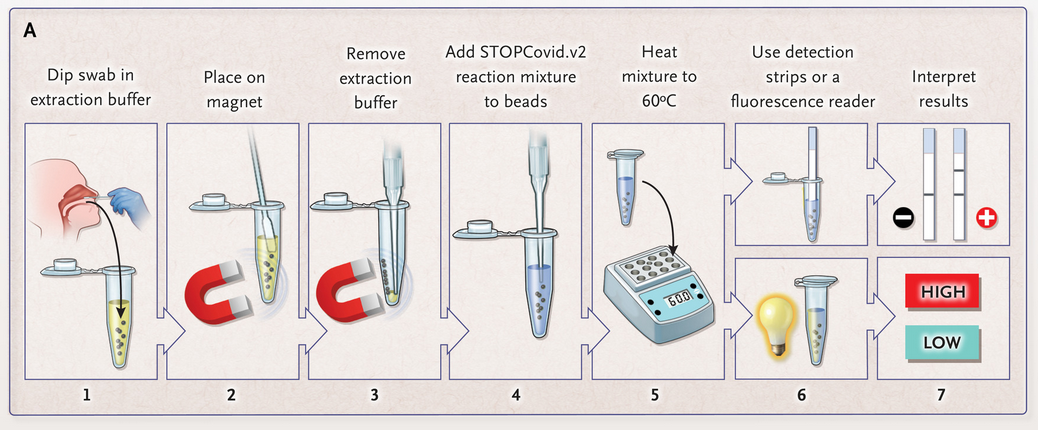 Fig. 5: STOPCovid.v2 working flow with the usage of magnetic beads.