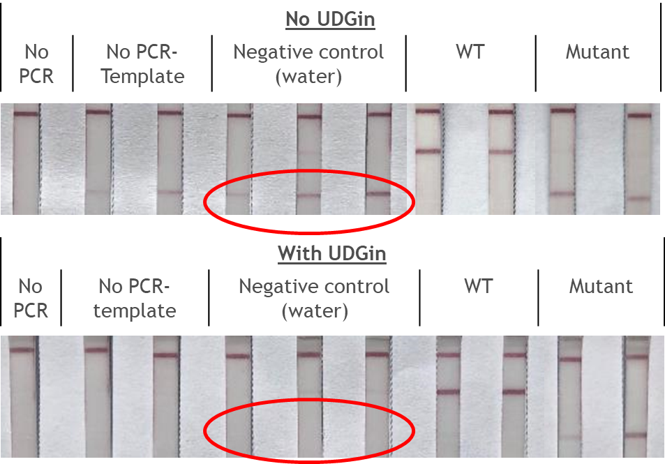Fig. 1: Contamination in Lateral Flow Assay.