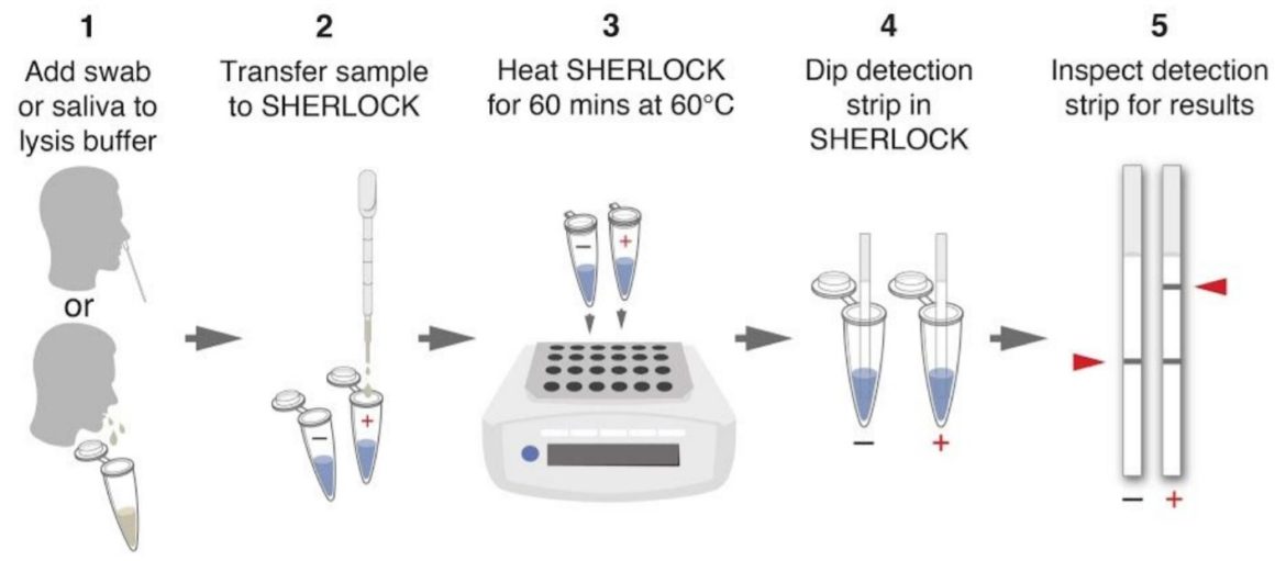 COVID-19 Rapid Test - STOPCovid Workflow