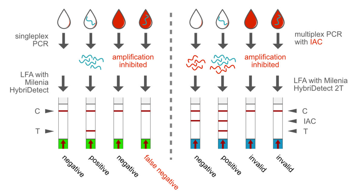 Importance of an internal amplification control using the direct Polymerase Chain Reaction approach