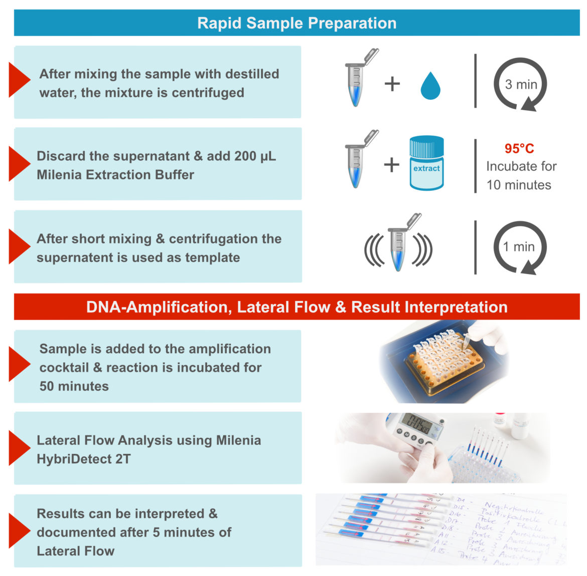 test procedure Test Procedure for the Detection of Alicyclobacillus with the Milenia GenLine Test System
