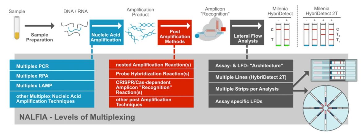 Muliplex Applications and Lateral Flow - Levels of Multiplexing