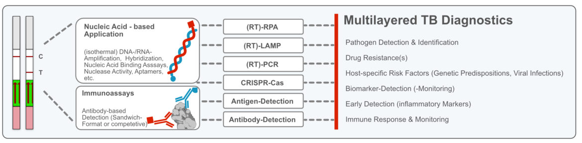 Milenia-HybriDetect-as tool for multilayered TB Diagnostics