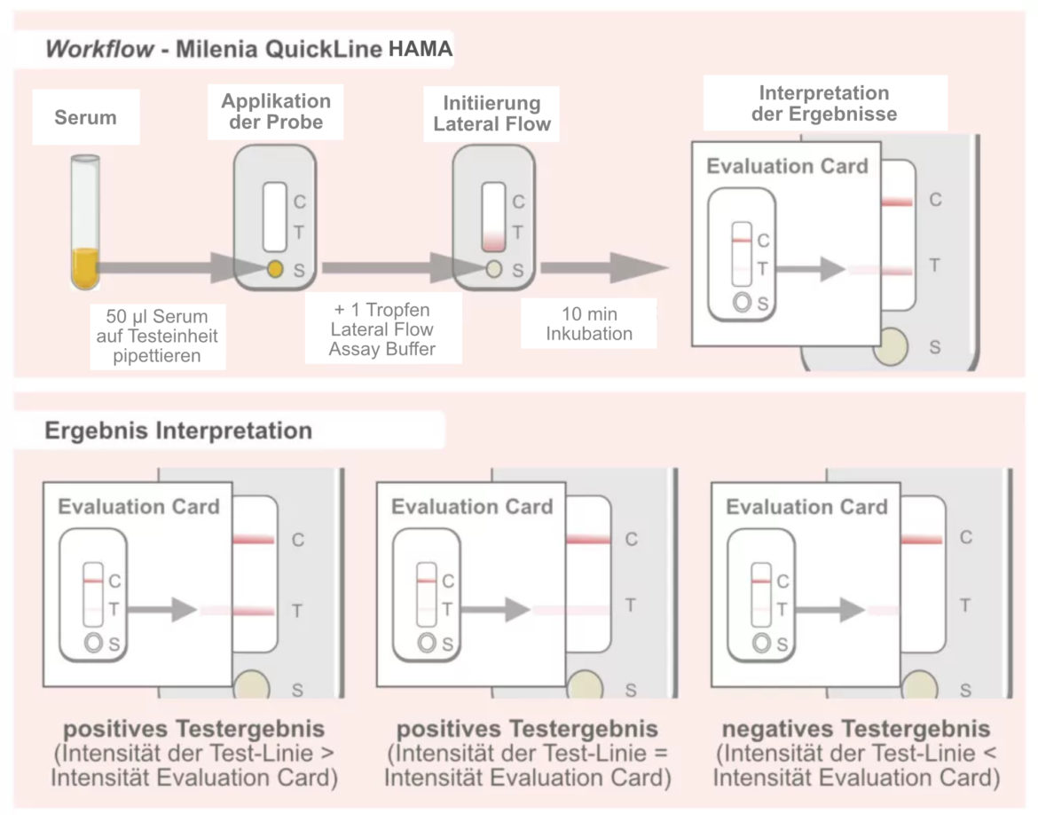 Milenia QuickLine HAMA Schnelltest – Workflow und Interpretation