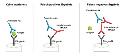 HAMA Interferenz in Immunoassays