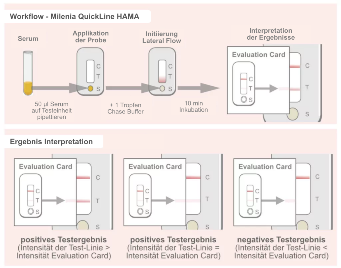 DE_HAMA-Workflow-2 Ablaufdiagramm und Ergebnisauswertung des Milenia QuickLine HAMA Schnelltests in mehreren Schritten.