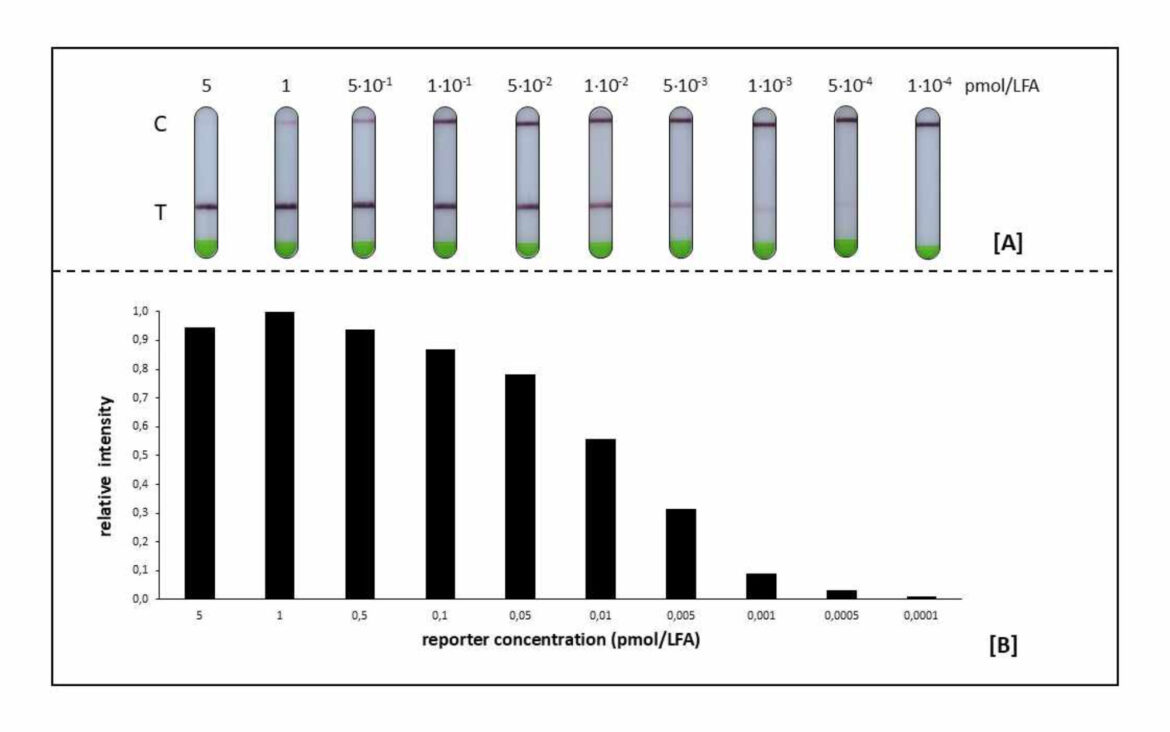 Figure 4 - Blogpost myilab research Bar Chart