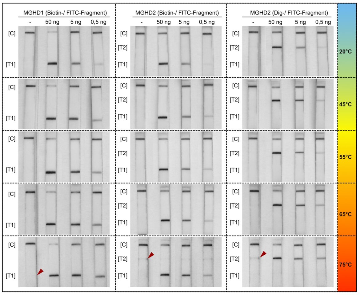 Influence of temperatures to LFA performance.tif