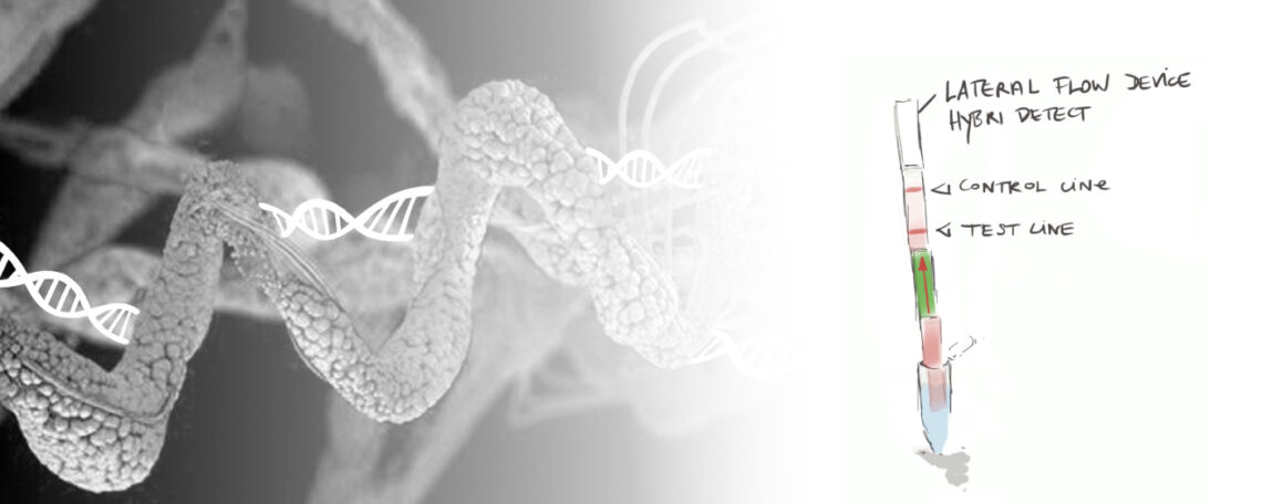Blogartikel Protein-DNA Interactions An abstract graphic of a protein structure intertwined with a DNA double helix and a lateral flow test strip on a background that transitions from gray to white.