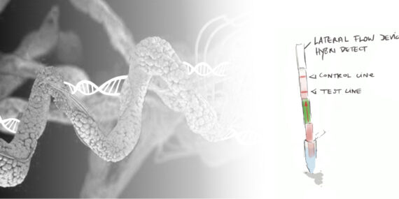 Blogartikel Protein-DNA Interactions An abstract graphic of a protein structure intertwined with a DNA double helix and a lateral flow test strip on a background that transitions from gray to white.
