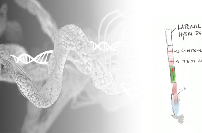 Blogartikel Protein-DNA Interactions An abstract graphic of a protein structure intertwined with a DNA double helix and a lateral flow test strip on a background that transitions from gray to white.