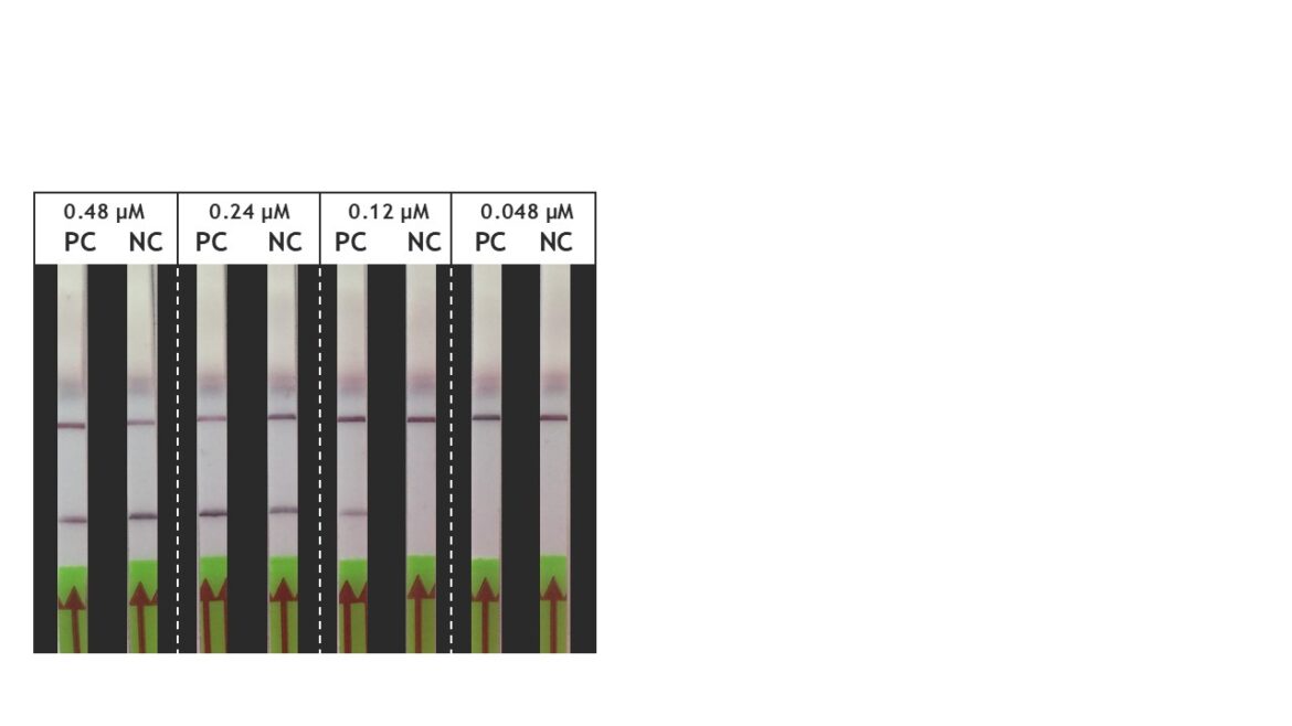 Figure 3 RPA Blog