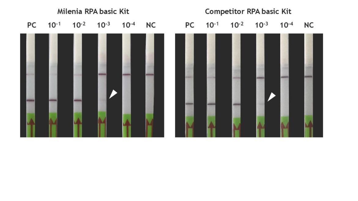 Figure 5 RPA Blog