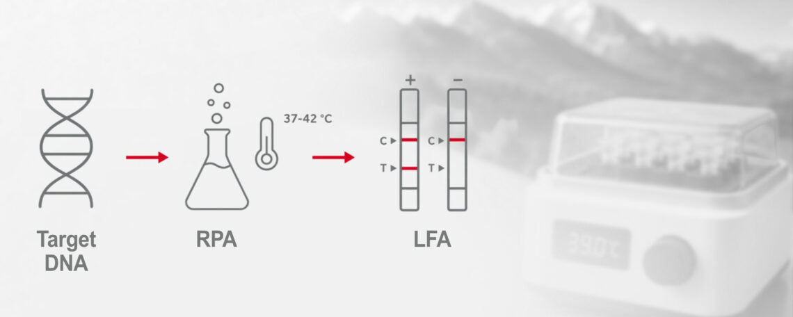 Featured Image: RPA Lateral Flow Assay (NALFIA) RPA Lateral Flow Assay (NALFIA)