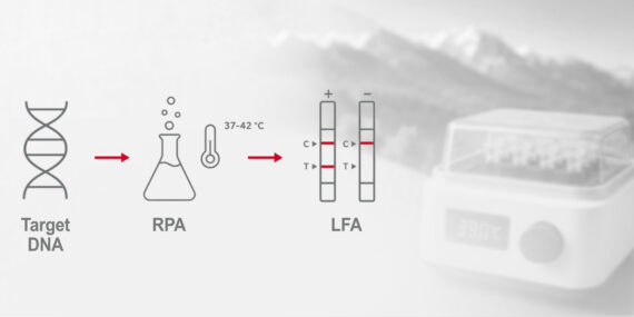 Featured Image: RPA Lateral Flow Assay (NALFIA) RPA Lateral Flow Assay (NALFIA)