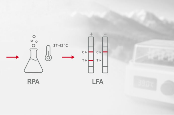 Featured Image: RPA Lateral Flow Assay (NALFIA) RPA Lateral Flow Assay (NALFIA)